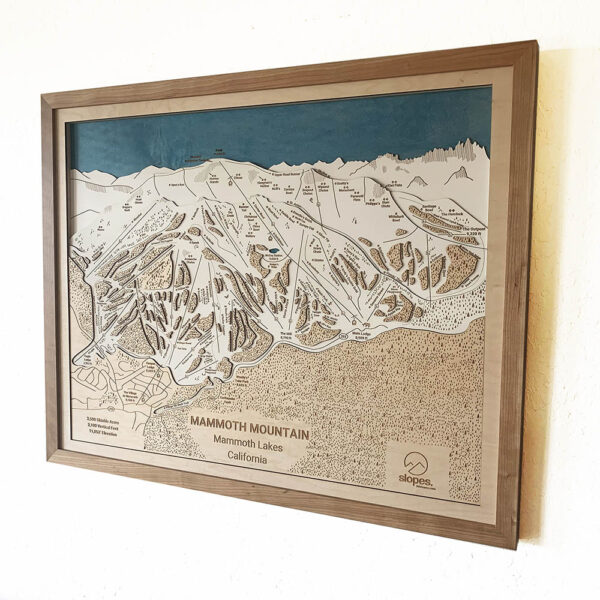 Mammoth Mountain Trail Map in 3D