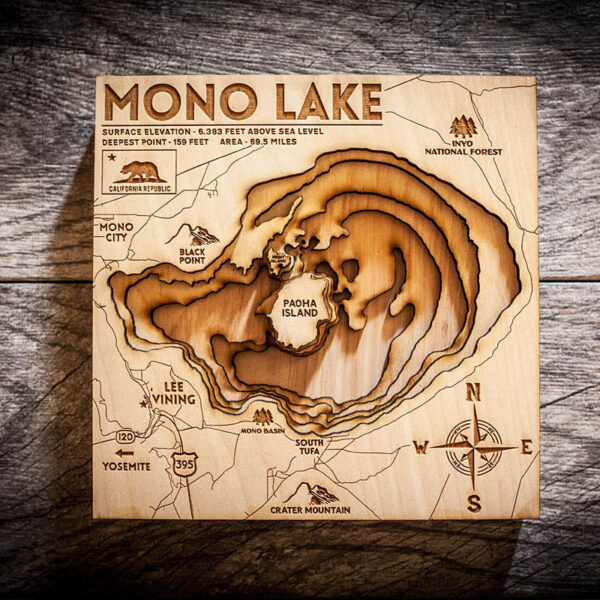 Mono Lake 3D Wood Map