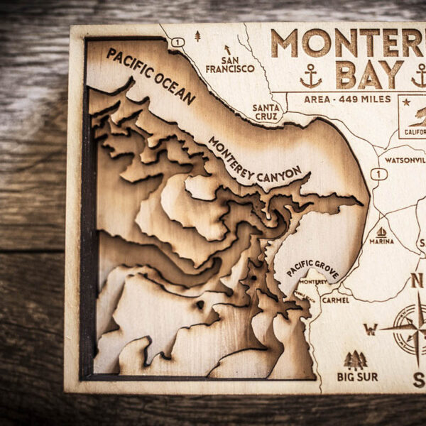 Monterey CA topo map in wood