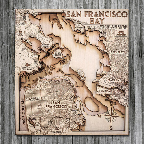 san francisco wood map in 3d