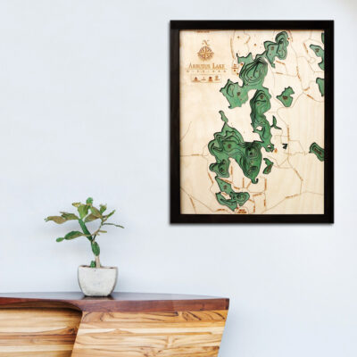 Arbutus Lake 3d wood map, Arbutus poster