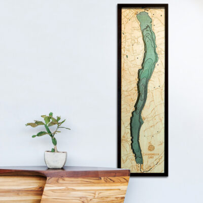 Canandaigua Lake 3d wood map