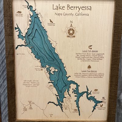 Lake Berryessa