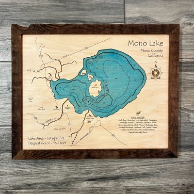 Mono Lake California Topo Water Map