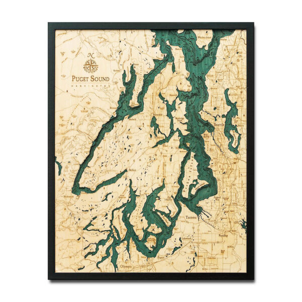 3d topographic wood chart puget sound map