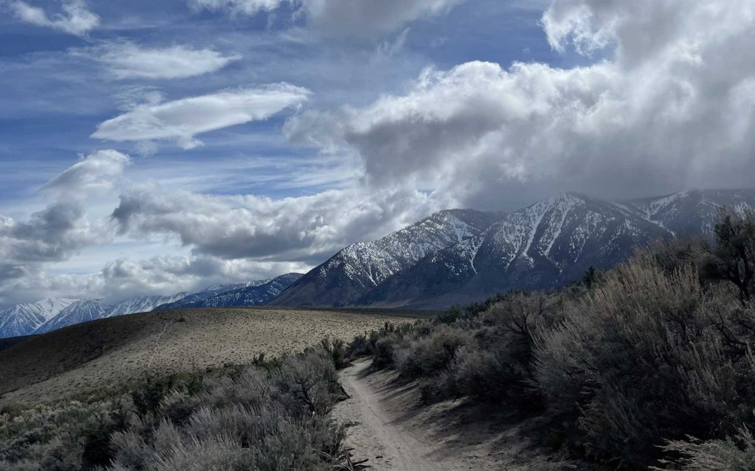 image of an unpaved trail road in Tahoe region