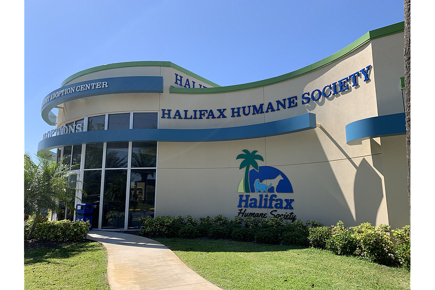 The Halifax Humane Society. File photo by Brian McMillan