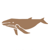 Add a "Whale" icon to your custom map.